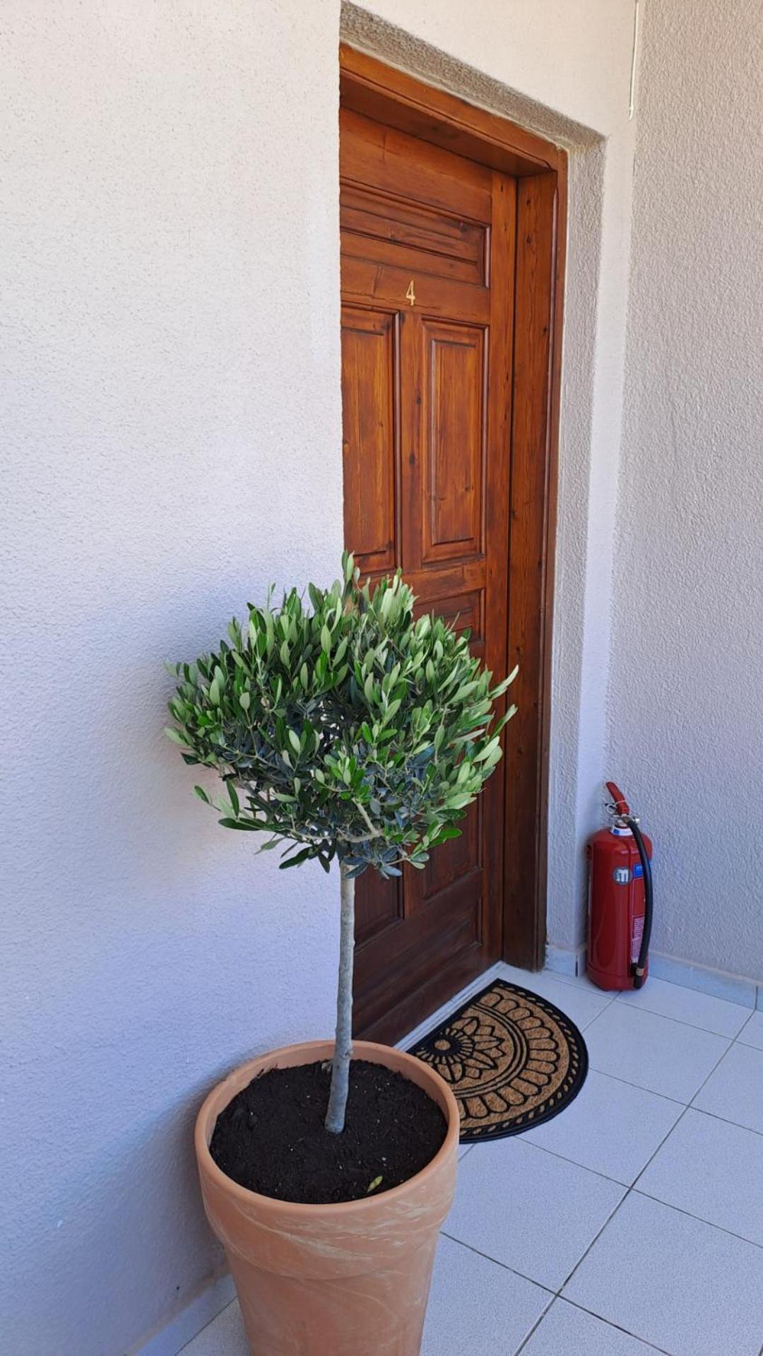 Bohemian Apartamento *
